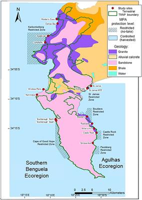 Assessing the effects of no-take zones in a marine protected area spanning two ecoregions and rock substrate types